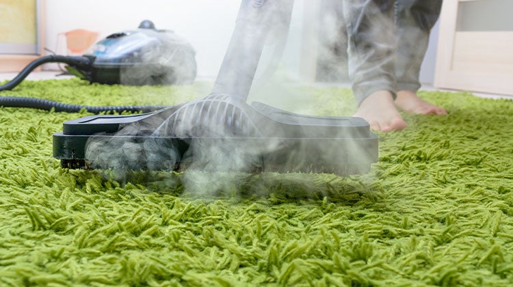 Cleaning green shag rug with a carpet steamer 