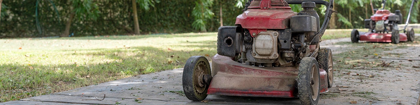 A lawn mower in a garden
