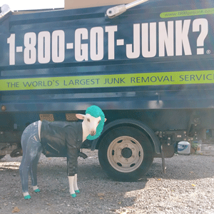 Goat statue in front of 1-800-GOT-JUNK? truck Goat statue in front of 1-800-GOT-JUNK? truck