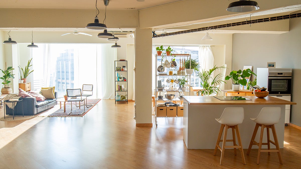 minimalist lifestyle bright living room and kitchen