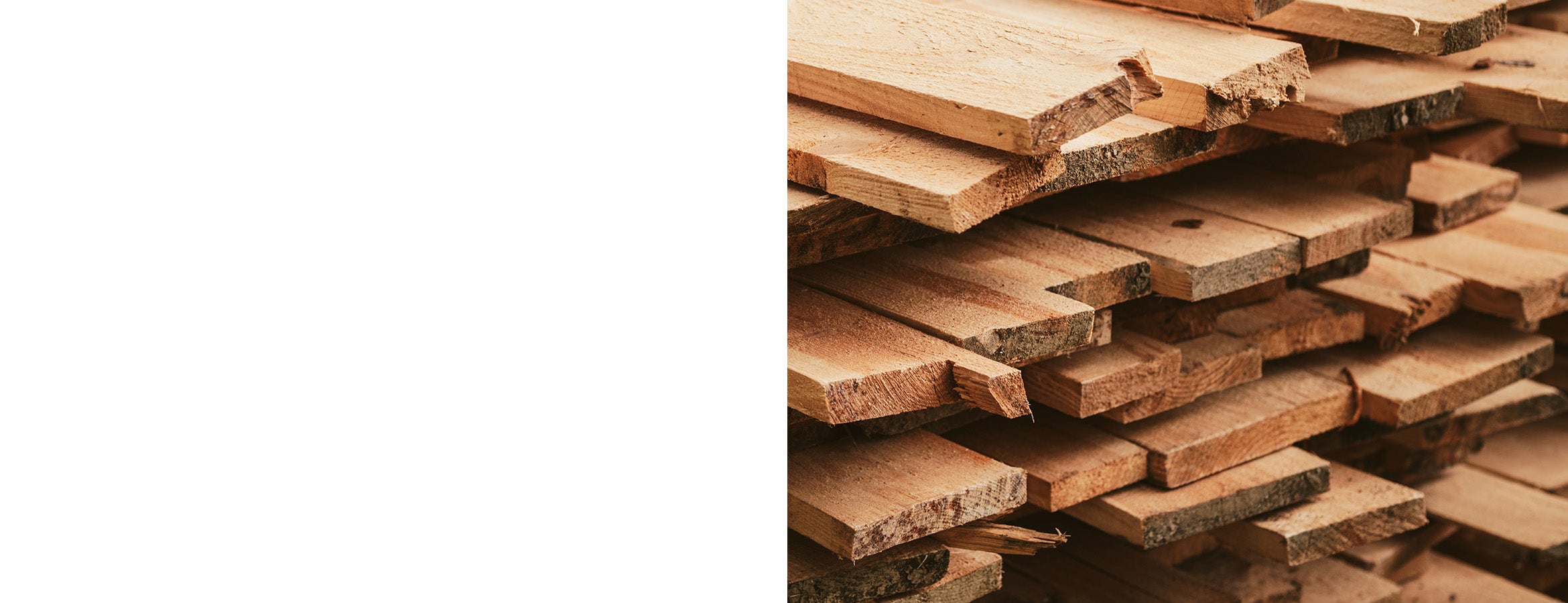 Blog_2025_how-to-dispose-of-wood-feature.jpg