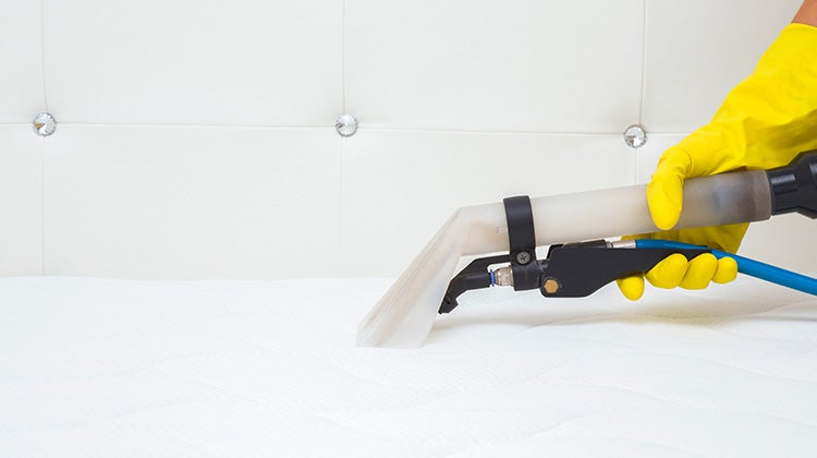 how to get rid of bed bugs in a mattress_Top Image how to get rid of bed bugs in a mattress