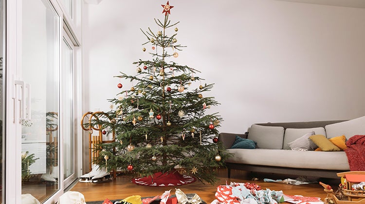 Natural Christmas tree decorated and standing beside a couch in a living room