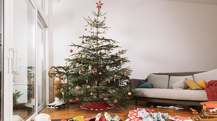 In-Blog-Images-750x420-1 Natural Christmas tree decorated and standing beside a couch in a living room