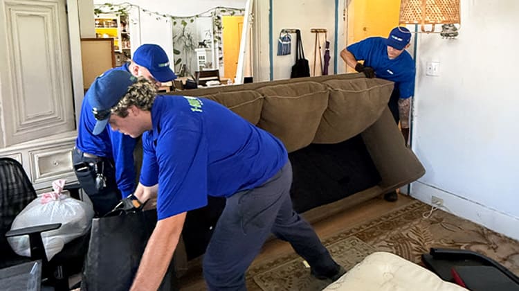 1-800-GOT-JUNK? removing a couch and bags of clothing from a home. 