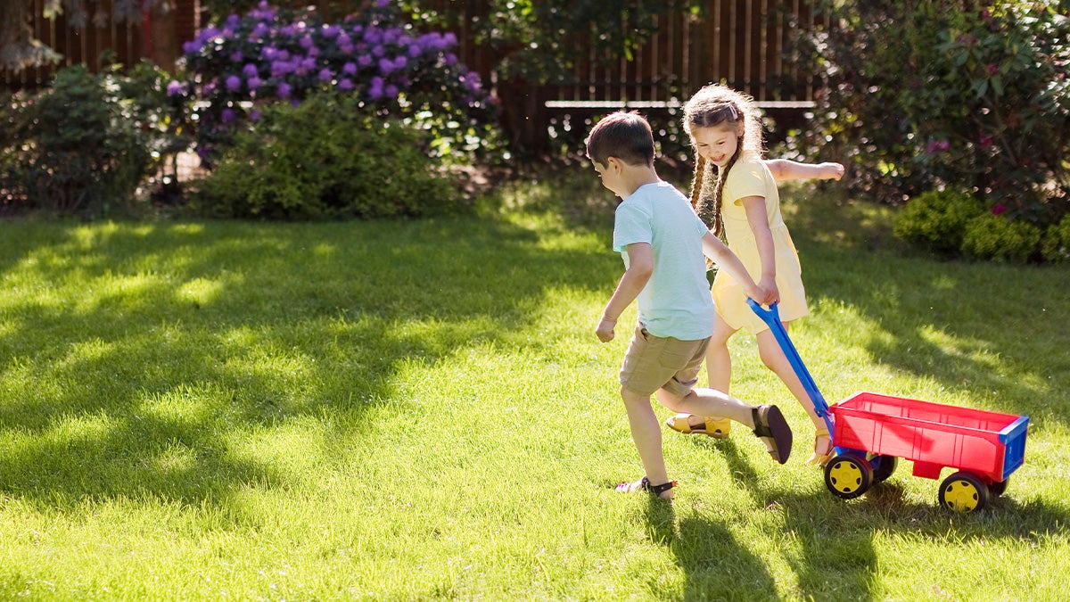 How to Clean Your Backyard