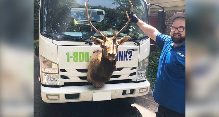 1-800-GOT-JUNK? truck team member posing with a deer head 1-800-GOT-JUNK? truck team member posing with a deer head