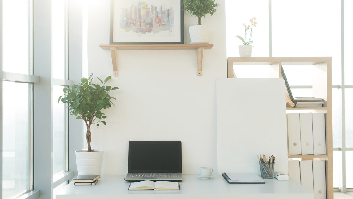 Organized desk space with plant and laptop