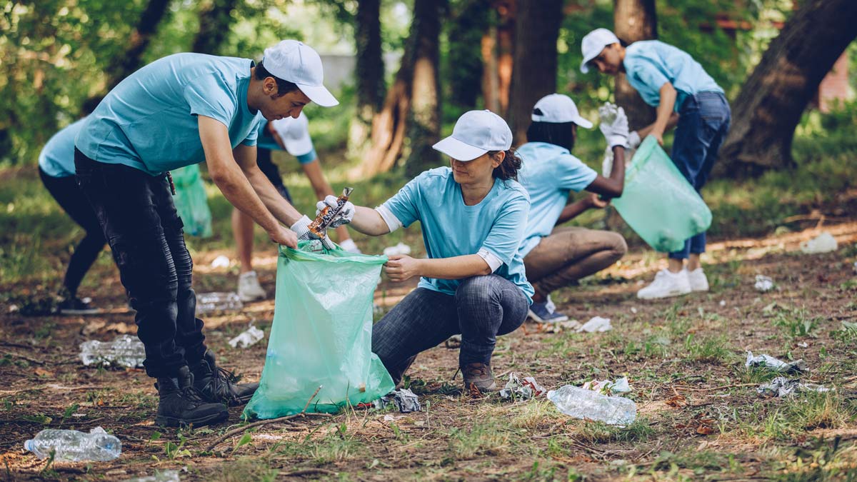 Workers picking up garbage in a forest