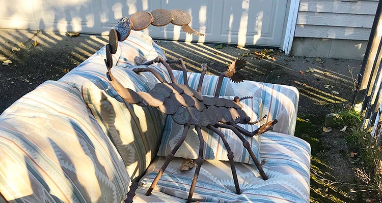 large scorpion on top of an old sofa