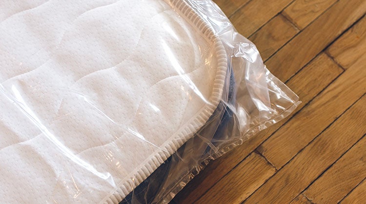 how to dispose of mattress with bed bugs