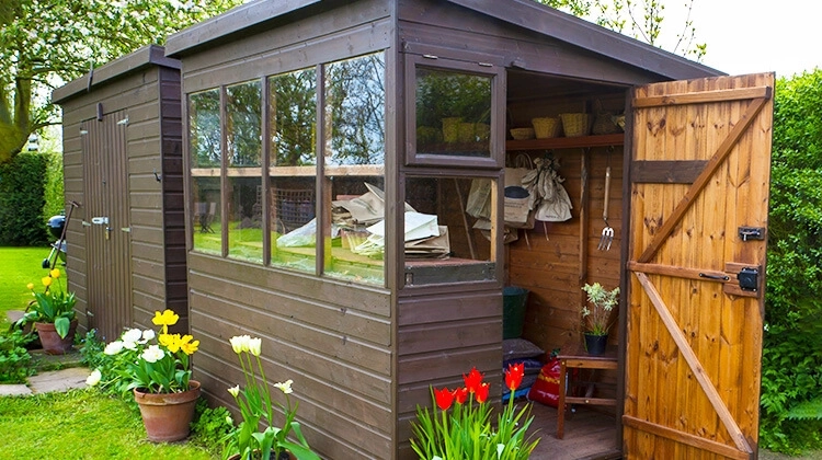 Decluttered shed with flowers around the outside Decluttered shed with flowers around the outside