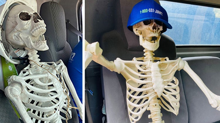 Two decorative Halloween skeletons sitting in 1-800-GOT-JUNK? trucks