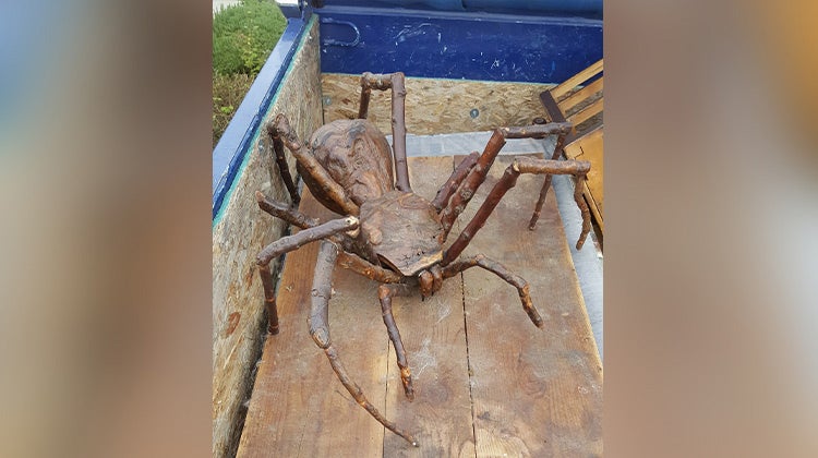 Giant wooden spider sculpture