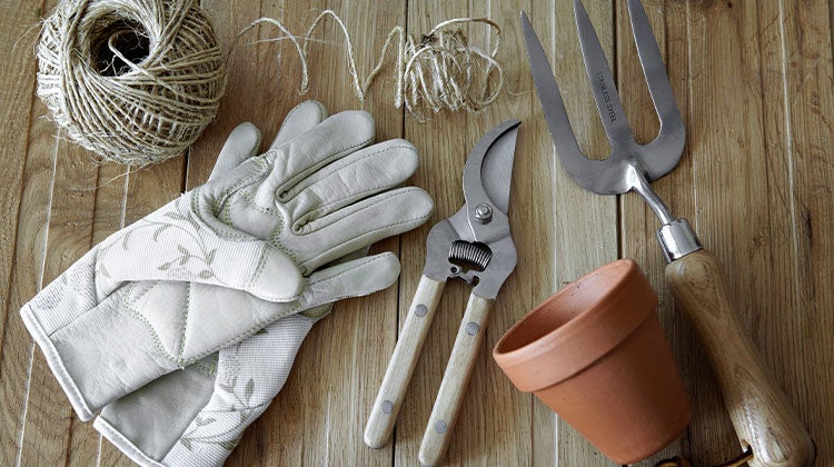 Assortment of gardening tools Assortment of gardening tools