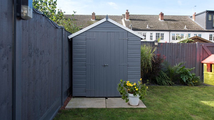 Gray shed in a backyard Gray shed in a backyard
