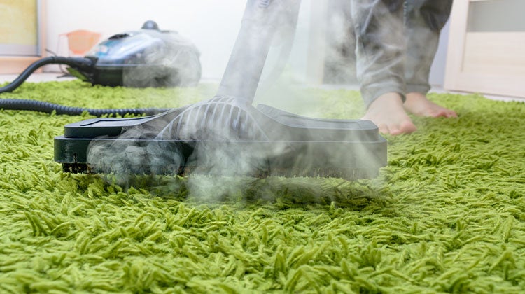 Cleaning green shag rug with a carpet steamer Cleaning green shag rug with a carpet steamer