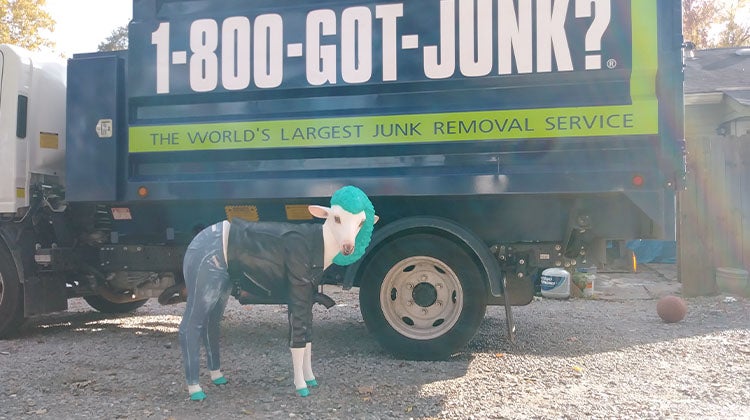 Blue haired goat sculpture wearing jeans Blue haired goat sculpture wearing jeans